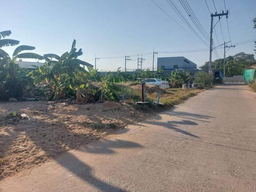 ที่ดิน 60 ตรว.ใกล้ทะเลบางละมุง ตลาดโรงโป๊ะ