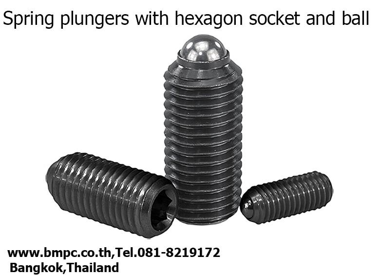 Linch pin, locking pin, สลักล๊อก, เดือยล๊อก, Index plunger, locking bolt, ball plunger, spring plunger รูปที่ 8