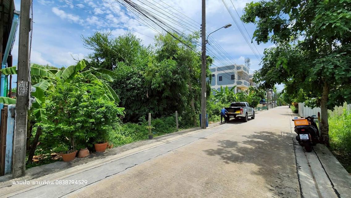 Vายที่ดินใกล้ม.ธนบุรี 96 ตารางวา ติดถนนคอนกรีต เพชรเกษม 108 แยก 7 ภาษีเจริญ กทม. 5