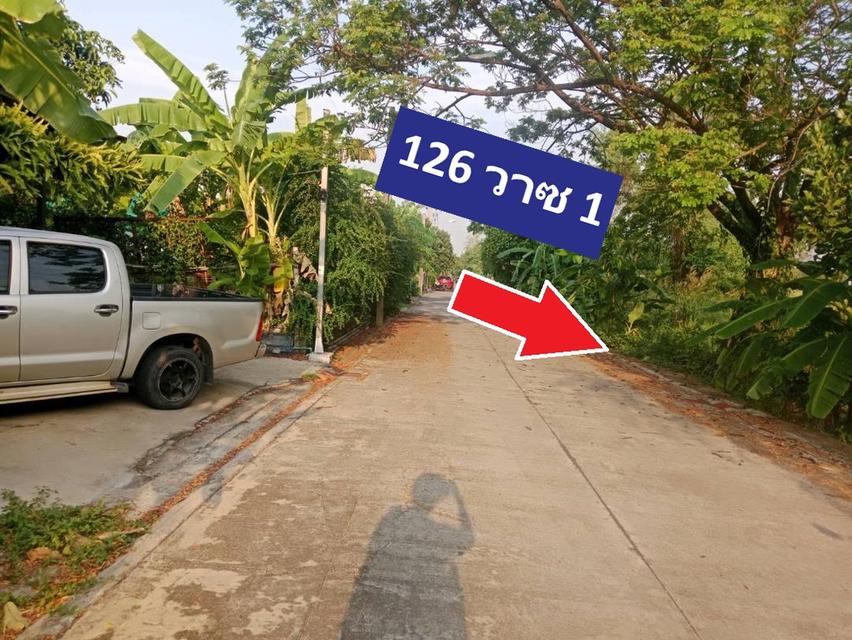 ขายที่ดินแปลงจัดสรรที่ยอดเยี่ยมใกล้พหล เหมาะสร้างบ้าน ออฟฟิศ 126 ตารางวา พหลโยธิน 54/1แยก8-4-3 ซอยตาลเดี่ยว ทำเลดีที่สุดปัจจุบัน เทียบราคาขาย การันตี 14