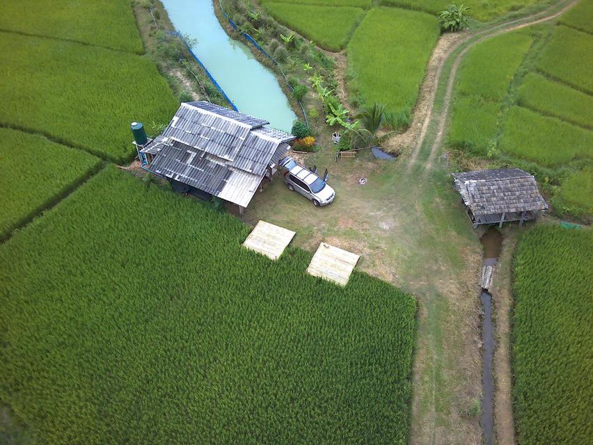 ที่ดิน จ.ลำปาง ที่นา วิวสวยบรรยากาศดี 3