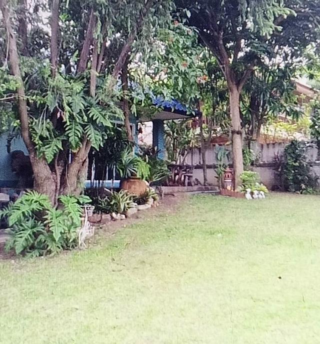 บ้านเดี่ยวให้เช่าใกล้ทะเล บรรยากาศดี ศรีราชา ชลบุรี 4