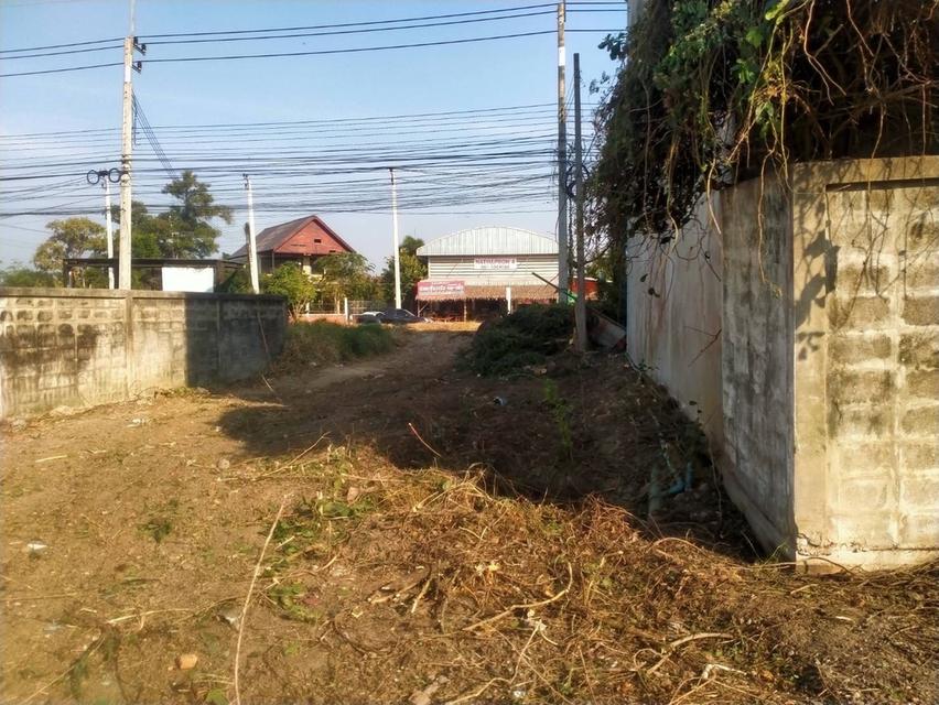 ขายที่ดินติดถนนใหญ่ นครปฐม 287.5 ตรว. ใกล้วัดตาก้อง 3