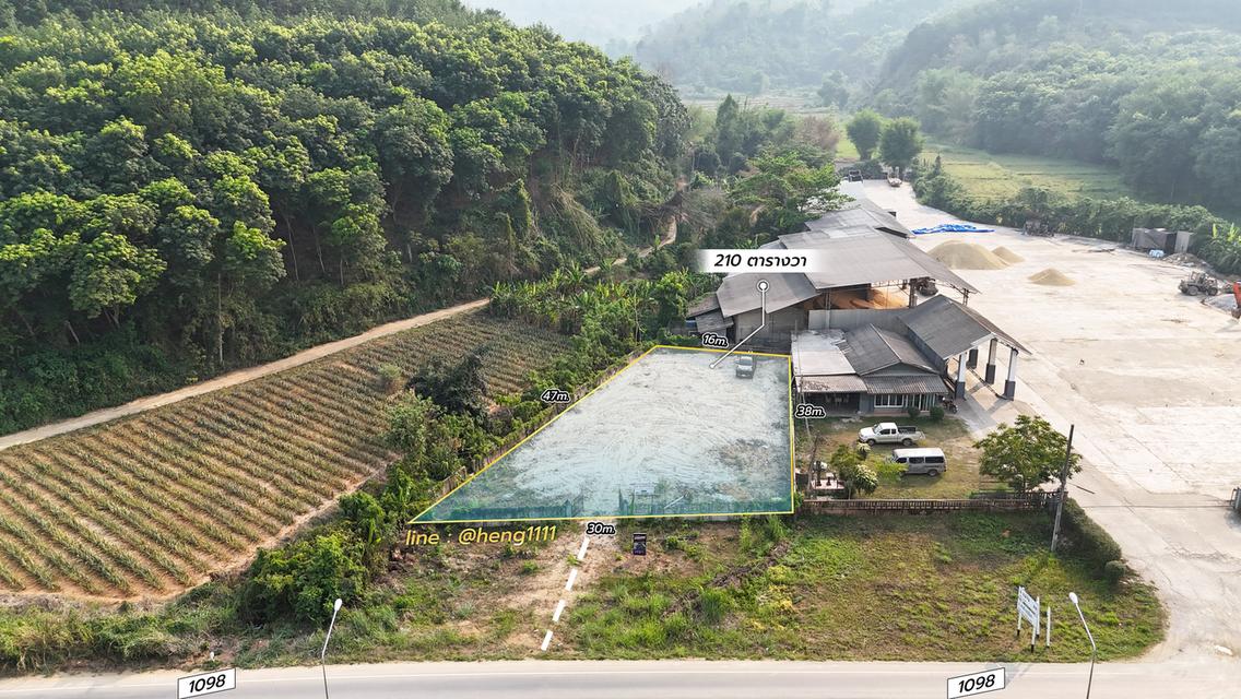 ขายด่วน ที่ดินติดทางหลวง 1098 ท่าข้าวเปลือก แม่จัน เชียงราย 210 ตร.ว. รูปทรงถุงเงินถุงทอง 1