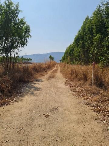 ขายที่ดินผังม่วงบ้านบึงชลบุรี ที่ดินอุตสาหกรรม 31-1-46 ไร่ ติดนิคม WHA | ทางสาธารณะ 3 ด้าน พื้นที่สีม่วงลาย 5