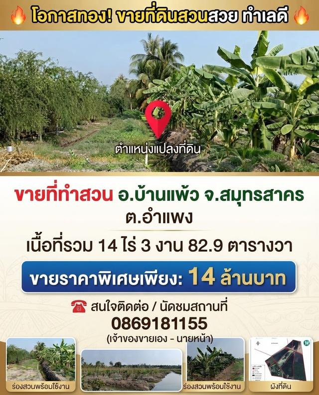 ที่สวน ต.อำแพง อ.บ้านแพ้ว จ.สมุทรสาคร 1