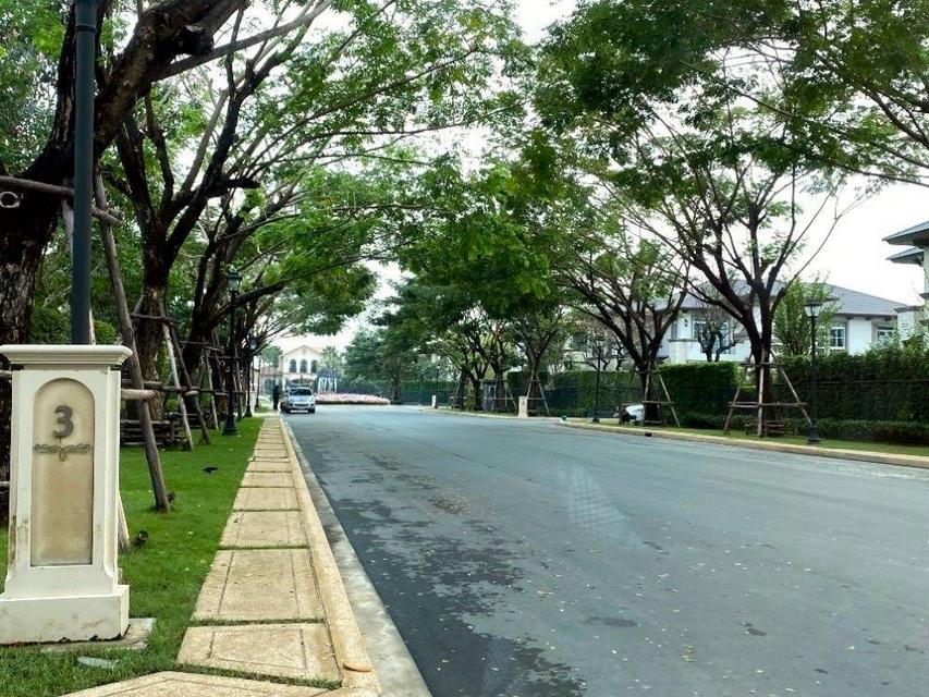 ให้เช่าบ้านหรู หมู่บ้าน นันทวัน รามอินทรา – พหลโยธิน 50 (ว่าง 15 ก.ย 68) (N.1839) 14