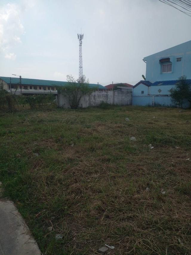 ขายที่ดินใจกลางมาบตาพุด เมืองระยอง ติดตลาด ติด7-11 สถานีตำรวจ 252 ตร.วา รูปที่ 4