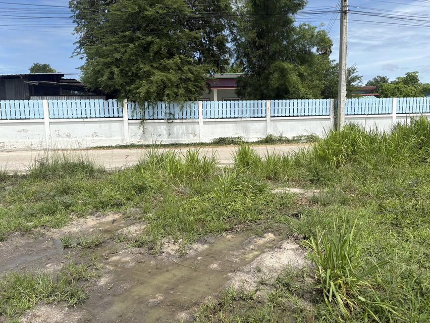 LAND FOR SALE | PHAN THONG, CHONBURI ที่ดินถมแล้วทั้งแปลง 10 ไร่ 77 ตร.ว. | เจ้าของขายเองโดยตรง 14