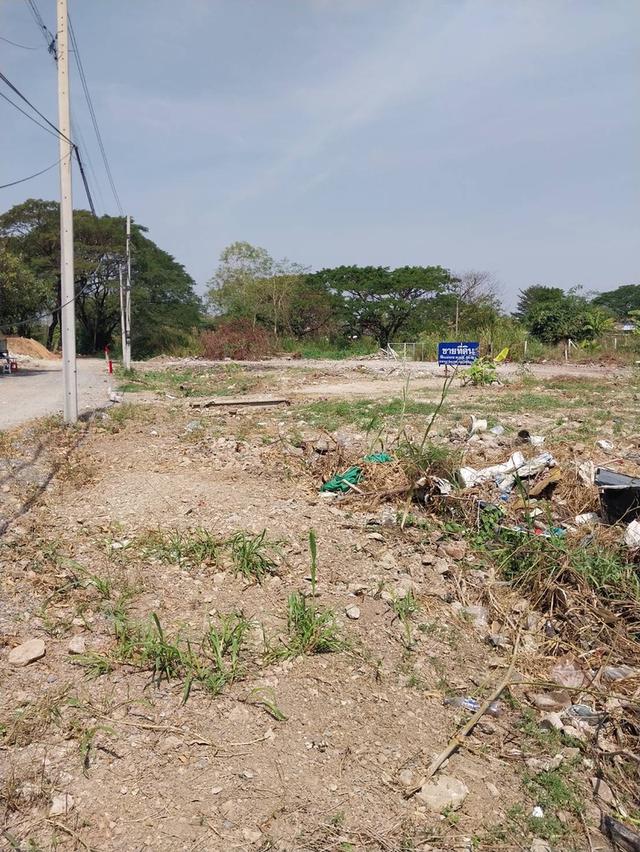 ขายที่ดิน 50/100 ตรว.ใกล้แหล่งชุมชนโรงเรียนใกล้ทางด่วนอุดรรัถยา ม.ธรรมศาสตร์ ศูนย์รังสิต  ม.ปทุมฯตลาดทรัพย์ปทุมทางเข้าซุ้มวัดบัวหลวง โทร081-2056883 3 9