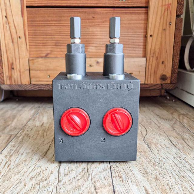 เซฟตี้วาล์ว (Safety valve block) HOF HSUB1-T06 2