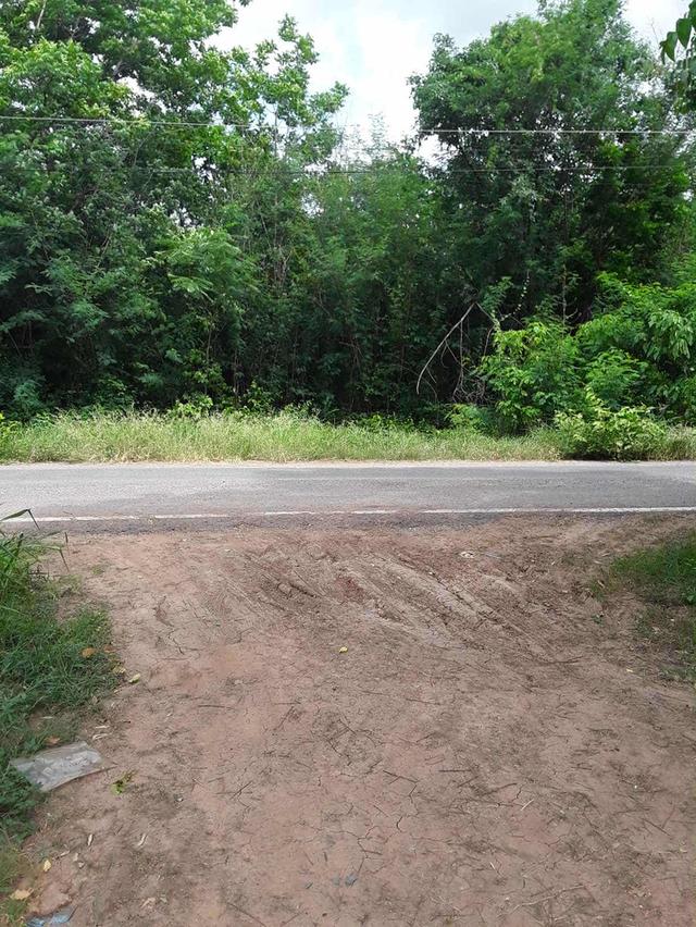 ที่ดินลพบุรี อ.ชัยบาดาล 3