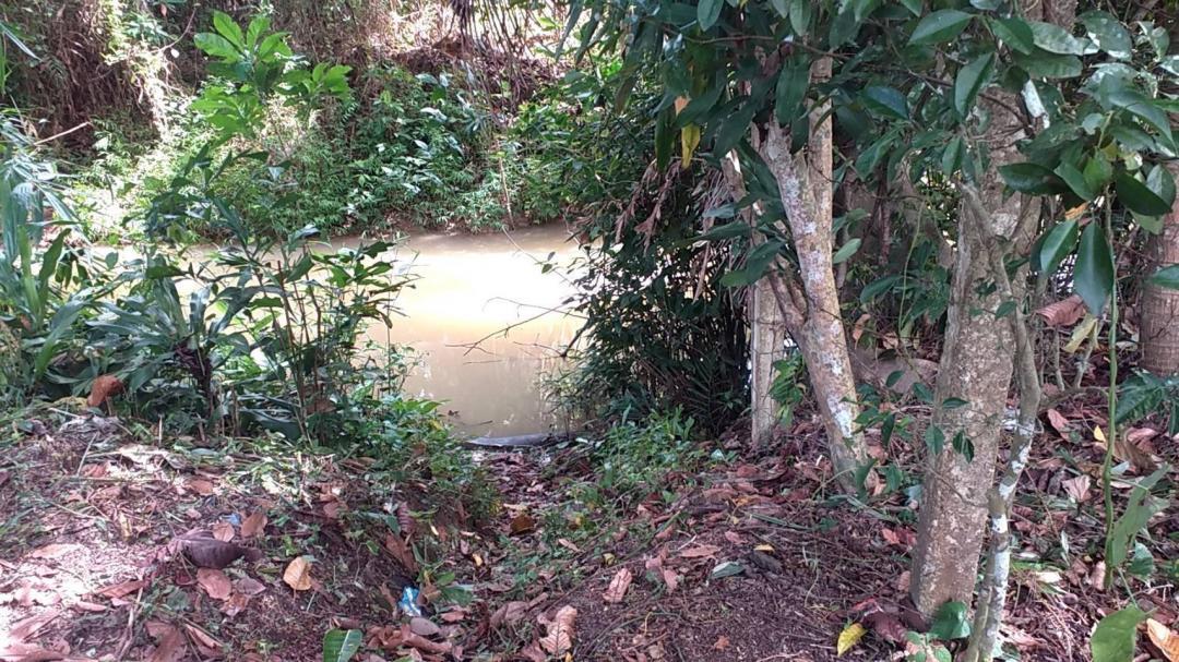 ขาย/ให้เช่า/หรือแลกเปลี่ยน ที่ดินสวนผลไม้ 1 ไร่ 2 งาน 3.8 ตร.ว. ติดคลองนุ้ย ต.ตำนาน อ.เมืองพัทลุง 5