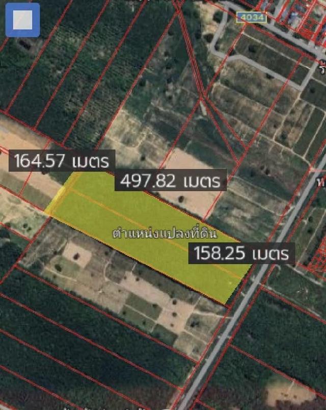 ขายที่ดินผังม่วงลายนิคมพัฒนาระยอง เนื้อที่48-2-77.7ไร่ ที่ดินผังม่วงลาย 4