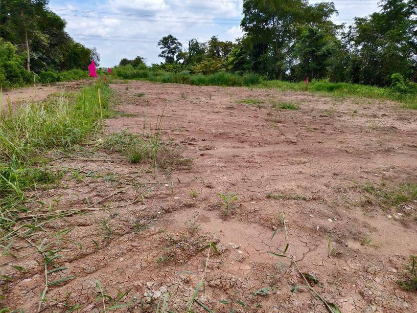 โอกาสมีที่ดินเป็นของตัวเอง คลอง 12 หนองเสือ เริ่มเพียง 360,000 บาท 8