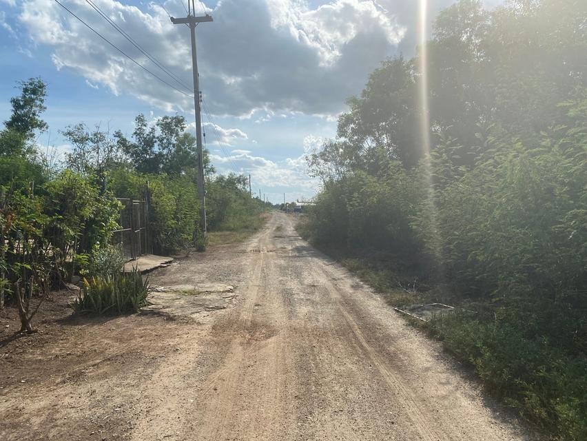 ❤️เจ้าของขายเอง ที่ดินนครปฐม  📌ที่ดินบางเลน ต.บัวปากท่า อ.บางเลน จ.นครปฐม : 1ไร่ 820,000 บาท 4