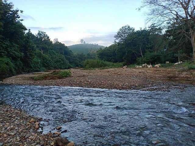 อย่าพลาดดีลเด็ดโปรดี ขายที่ดินติดลำธารน้ำใสไหลริน ชุ่มฉ่ำตลอดปี สวยวิวล้าน 800000บาท 3-0-35ไร่ อำเภอสันติสุข น่าน 4