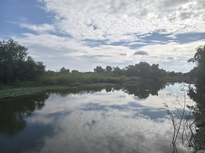 ขายที่ดินเปล่า ไร่ครึ่งไม่ถึงล้าน ทำเลดี ติดถนนเลียบคลอง14 อำเภอองครักษ์ จังหวัดนครนายก (เจ้าของขายเอง) 8