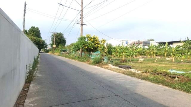 ขายถูกที่ดินถมสูงกว่าถนน ล้อมกำแพงคอนกรีตหนา 4 ด้าน เนื้อที่ 1-1-57ไร่ ธัญบุรี คลอง1.รังสิต-นครนายก17 ปทุมธานี 3