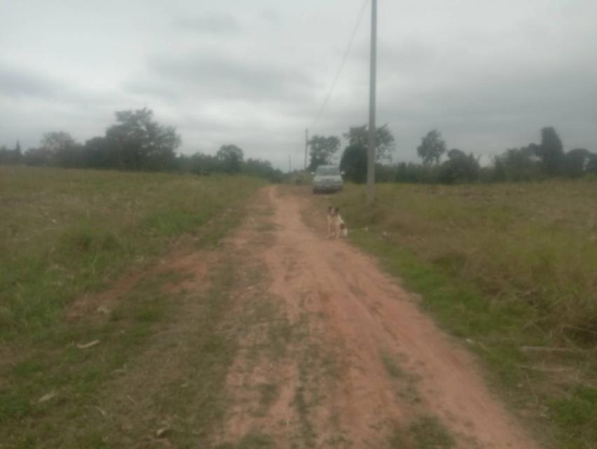 ที่ดินเปล่า 20 ไร่ๆละ 5 แสน แบ่งขายได้ คลองสอง วังน้ำเขียว 10