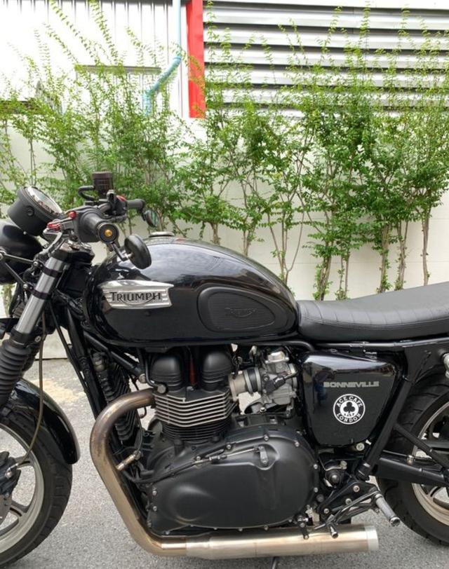 Triumph Bonneville T100 ปี 12 จด 2013 5