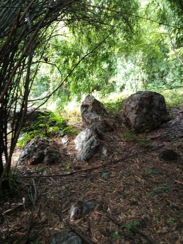 ขายด่วน! ที่ดินเปล่า ทำเลดี ใกล้เมืองนครสวรรค์ เนื้อที่ 160 ตร.ว. โทร 092-6869618 9