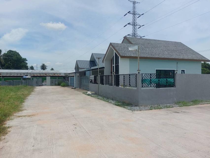 ที่ดิน 4 ไร่ พร้อมบ้านสวยๆ 2 หลัง แถวเขาไม้แก้ว ใกล้ถนน 331