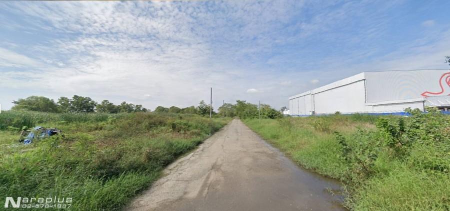 Listing No. 69030148 : ขายถูก ที่ดินแปลงสวย  เนื้อที่ 55 ตร.ว.  ต.พืชอุดม  อ.ลำลูกกา จ.ปทุมธานี 3