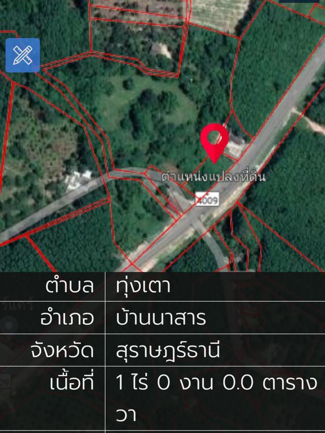 ขายที่ดินติดถนน อำเภอบ้านนาสาร สุราษฯ 4