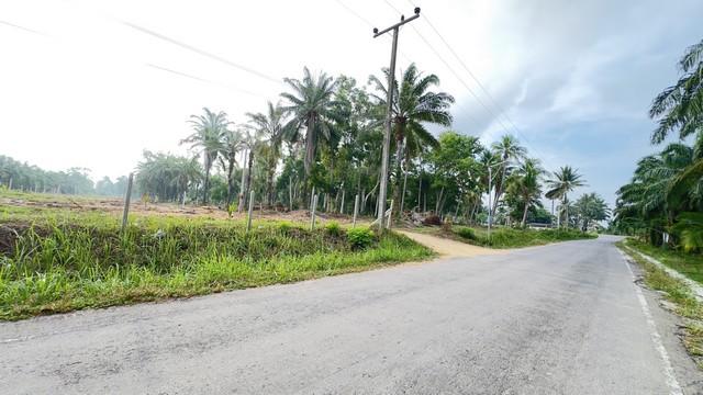อย่าพลาดดีลเด็ดโปรดี ที่ดินใกล้ทะเลวิวสวยมาก แปลงเล็กวาละ 6800 อ.บางสะพานน้อย จ.ประจวบคีรีขันธ์ 4