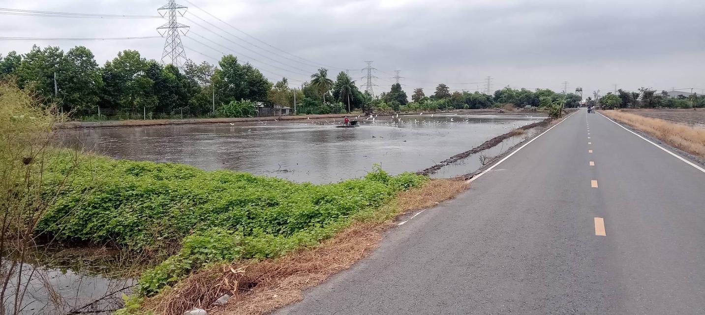 ขายที่ดิน10ไร่พื้นที่สีม่วงไทรน้อยนนทบุรึ 2