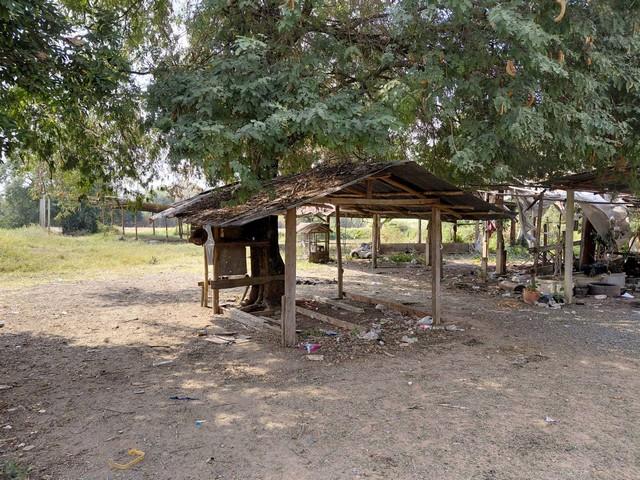 เล็งทรัพย์ดีเก็งเก็บอนาคต ที่ปากช่อง 2ไร่- 8ไร่ โฉนด ต.วังไทร อ.ปากช่อง จ.นครราชสีมา ไร่ละ 2.9 ลบ.สูงจากระดับน้ำทะเลมาก 1