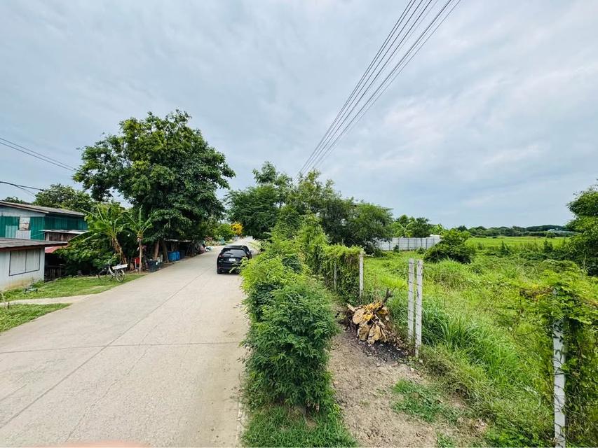 ขายที่ดิน 220ตรว.แปลงสวยถมแล้ว วิวสวย บ้านงิ้ว สามโคก ปทุมธานี 3