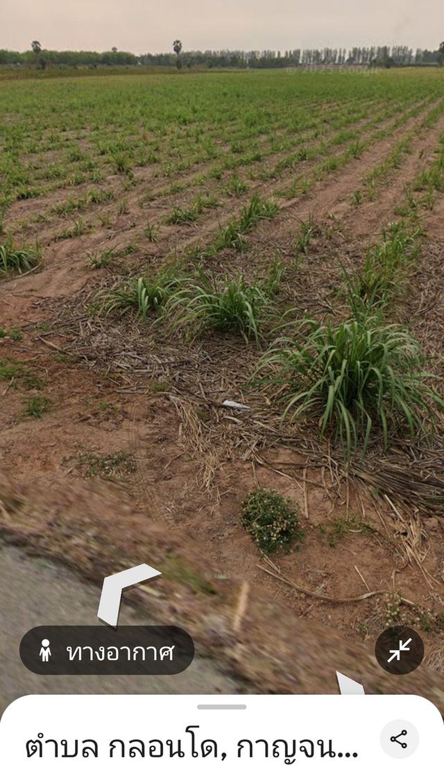 ที่ดินเปล่า ราคาถูก โฉนดไร่ละ153,000฿ 6