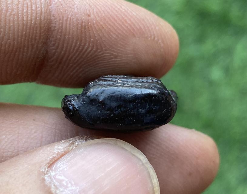 พระผงเกศา ครูบารเจ้าศรีวิชัย รูปที่ 5