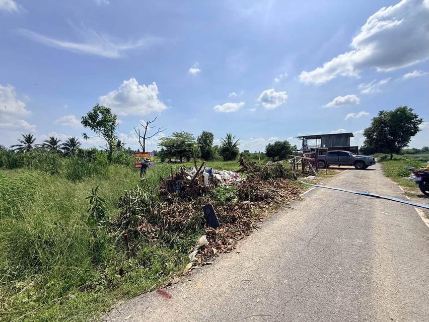 ขายด่วนที่ดิน 100 ตรว ติดถนนลาดยางสาธารณะ ซ.ประทุม บางบัวทอง นนทบุรี 3