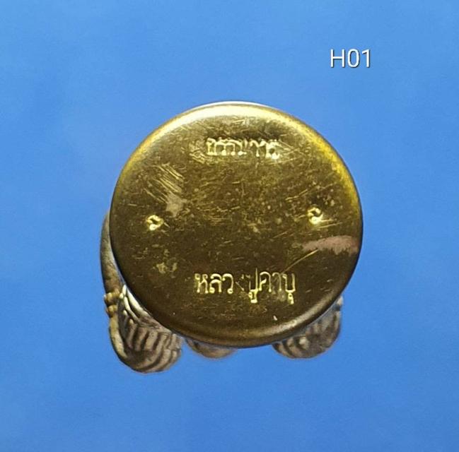 หนุมานทรงฤทธิ์เรืองเดช หลวงปู่คำบุ วัดกุดชมภู อุบลฯ ปี 2554 5