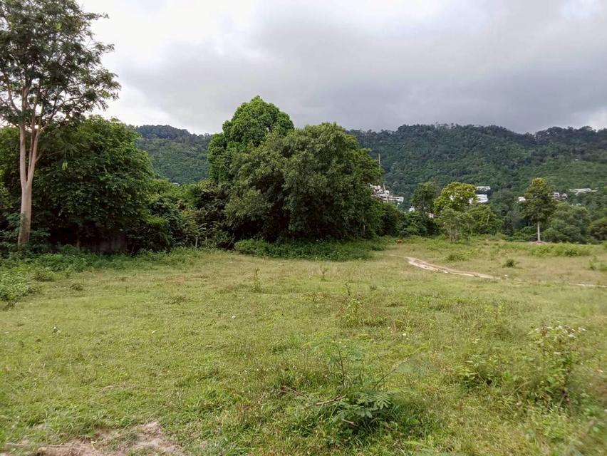 ขายที่ดิน เกาะสมุย land for sale samui 11