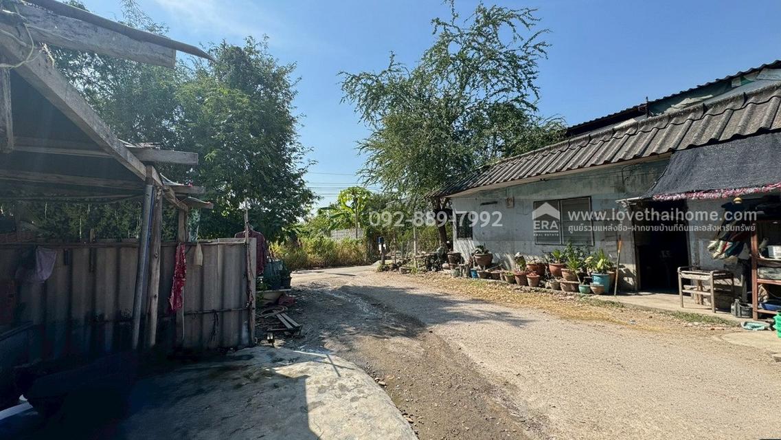 ขายที่ดิน ถนนเพชรเกษม79 ซอย14 พื้นที่ 50 ตรว. ขาย 1.4 ล้านบาท ทำเลดี ใกล้ตลาดสด เพชรเกษม79 3