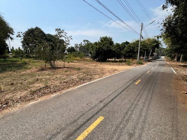 ขายที่ดิน ขนาด 1 ไร่ สี่เหลี่ยมสวยๆ ข้างสวนนงนุชพัทยา ตำบลนาจอมเทียน อำเภอสัตหีบ ชลบุรี 5