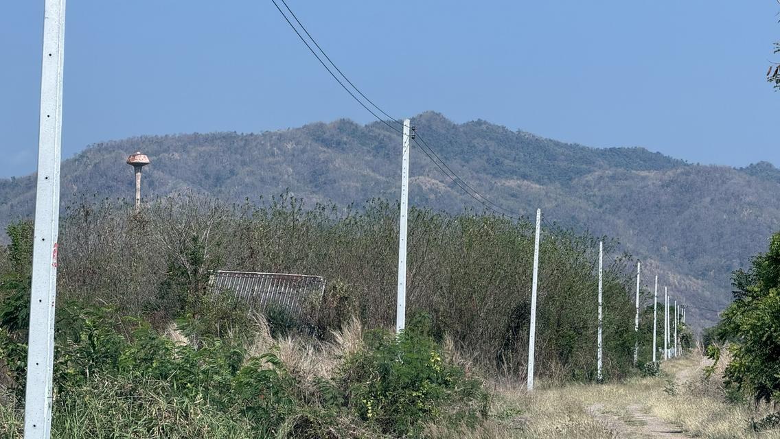 ที่ดินเปล่า 266 ตารางวา ต.วังชมภู อ.เมือง จ.เพชรบูรณ์ 13