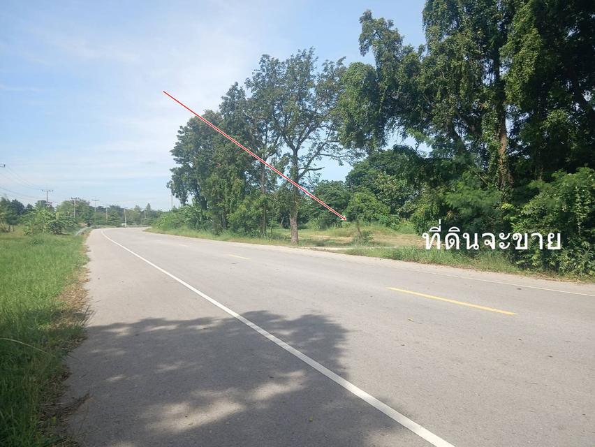 ขายที่ดิน 3 ไร่ ต.บ้านโสก อ.คอนสวรรค์ ชัยภมิ ติดถนนดำมีน้ำไฟขาย 1.2 ล้าน 10