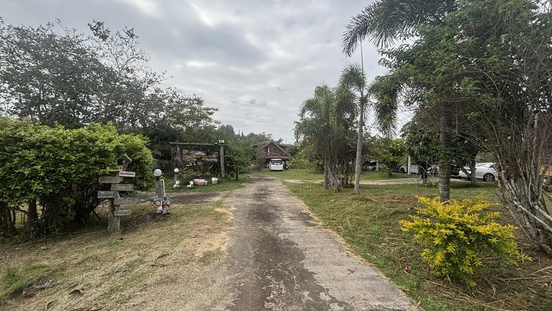 ทอไหม ไอหมอก รีสอร์ท 8 ไร่ 9.5 ล้าน บ.ไทรทอง อ.วังน้ำเขียว 2