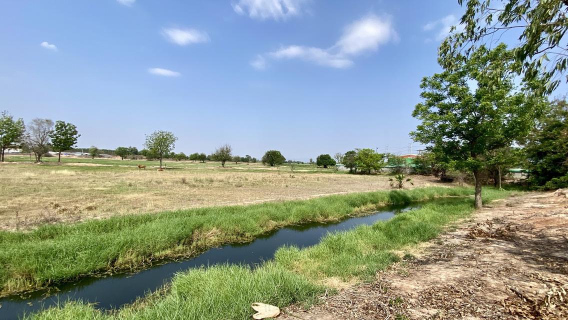 ที่ดินเปล่า จังหวัดกาญจนบุรี 4