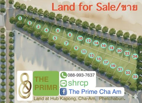 P-9 ขายที่ดินทำเลสวยติดถนน พื้นที่หุบกะพง พื้นที่ 151 ตร.วา ขึ้นไป ราคาเริ่มต้นที่ 14,000 บาท 16