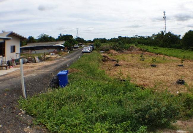 ขายที่ดิน ติดถนนบ้านกล้วย-ไทรน้อย ตำบลไทรน้อย อำเภอไทรน้อย นนทบุรี 5