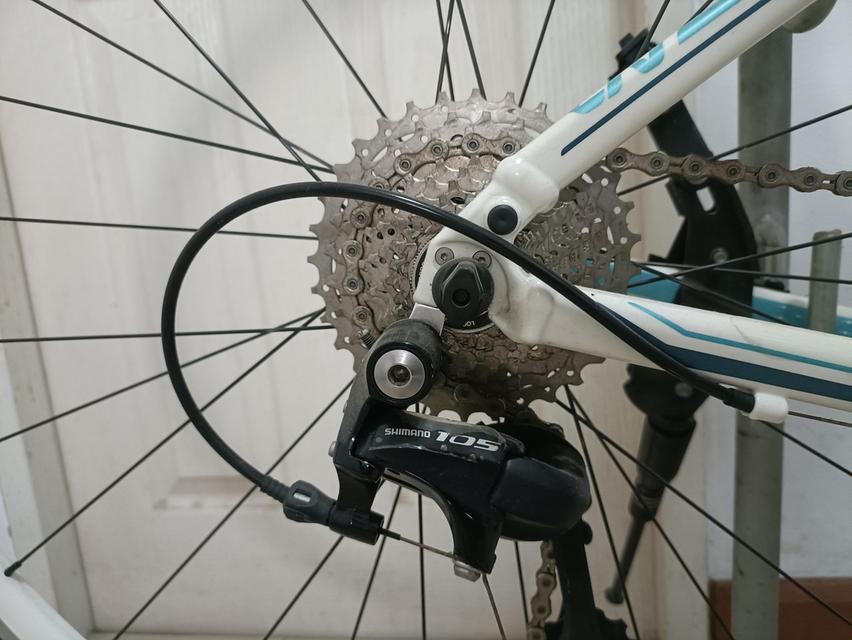 Liv,trek,merida ราคาเหมา3คัน