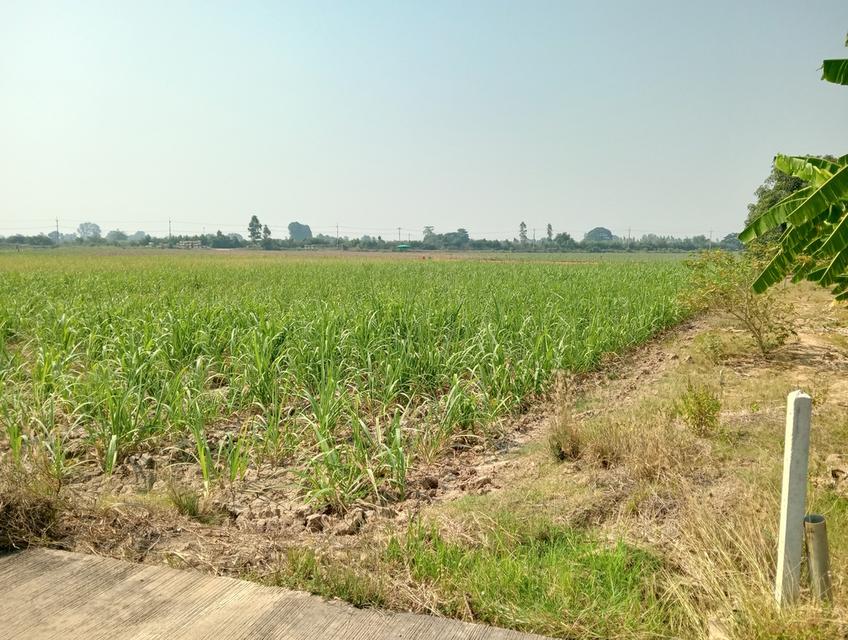 ขายที่ดิน 6 ไร่โฉนดครุฑแดง 6