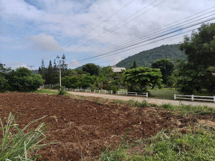 ขายที่หนองน้ำแดง เขาใหญ่ ใกล้ธนะรัชต์ 3 ไร่ ที่ดินวิวเขาสวยล้อมรอบ ใกล้ภูเขา ใกล้มอเตอร์เวย์M6 เดินทางสะดวก ใกล้ตัวเมืองปากช่อง ตลาดร้านค้า โรงพยาบาล 3