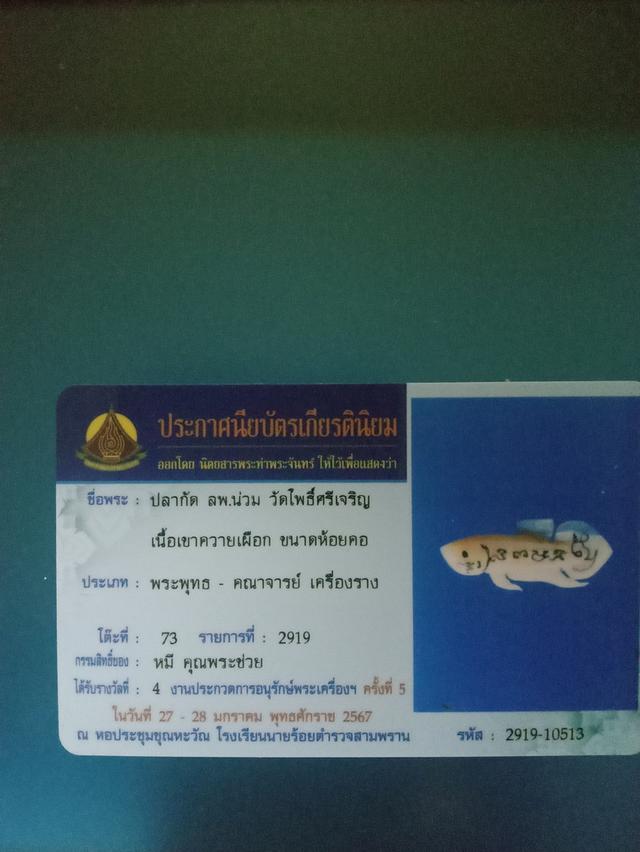 ปลากัด หลวงพ่อน่วม วัดโพธิ์ศรีเจริญ สุพรรณบุรี เนื้อเขาควาย ปี2557 4